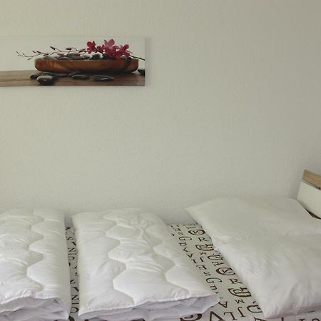 Helles Appartement Im Allgau Leutkirch im Allgäu エクステリア 写真